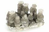 Cave Calcite Flower Stalactites - China #226187-2